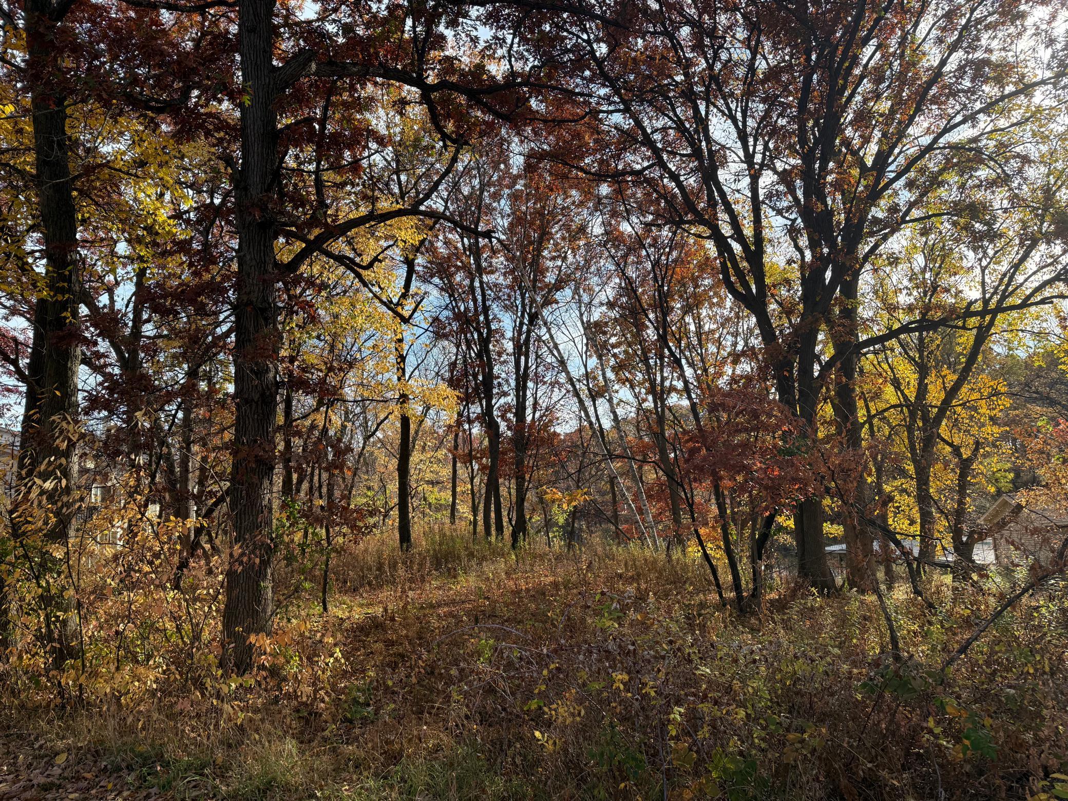 561 Deer Ridge Lane S