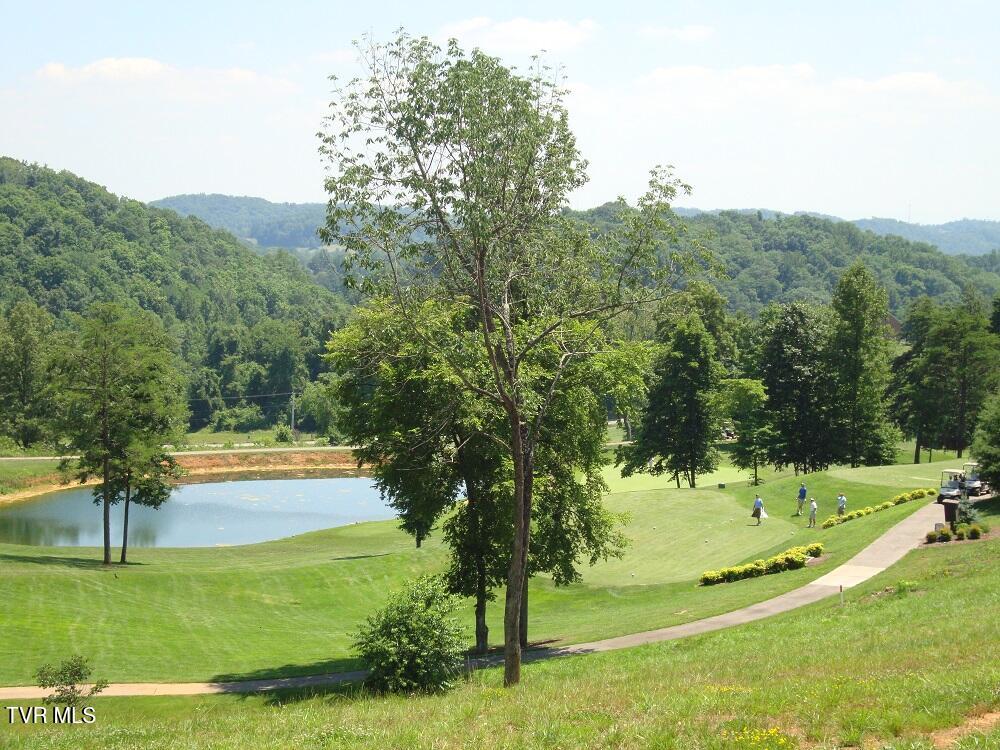 1226 Ridgetop Trail
