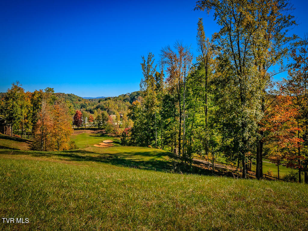 1226 Ridgetop Trail