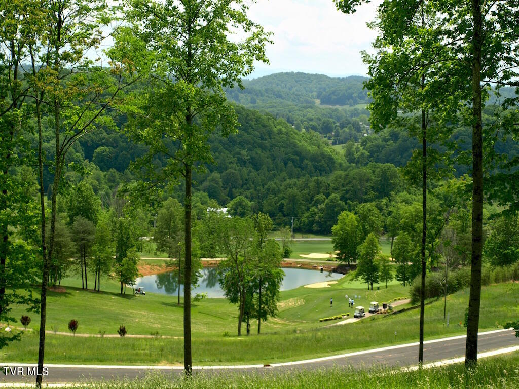 1226 Ridgetop Trail