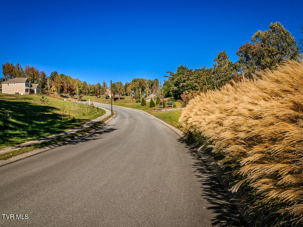 1226 Ridgetop Trail
