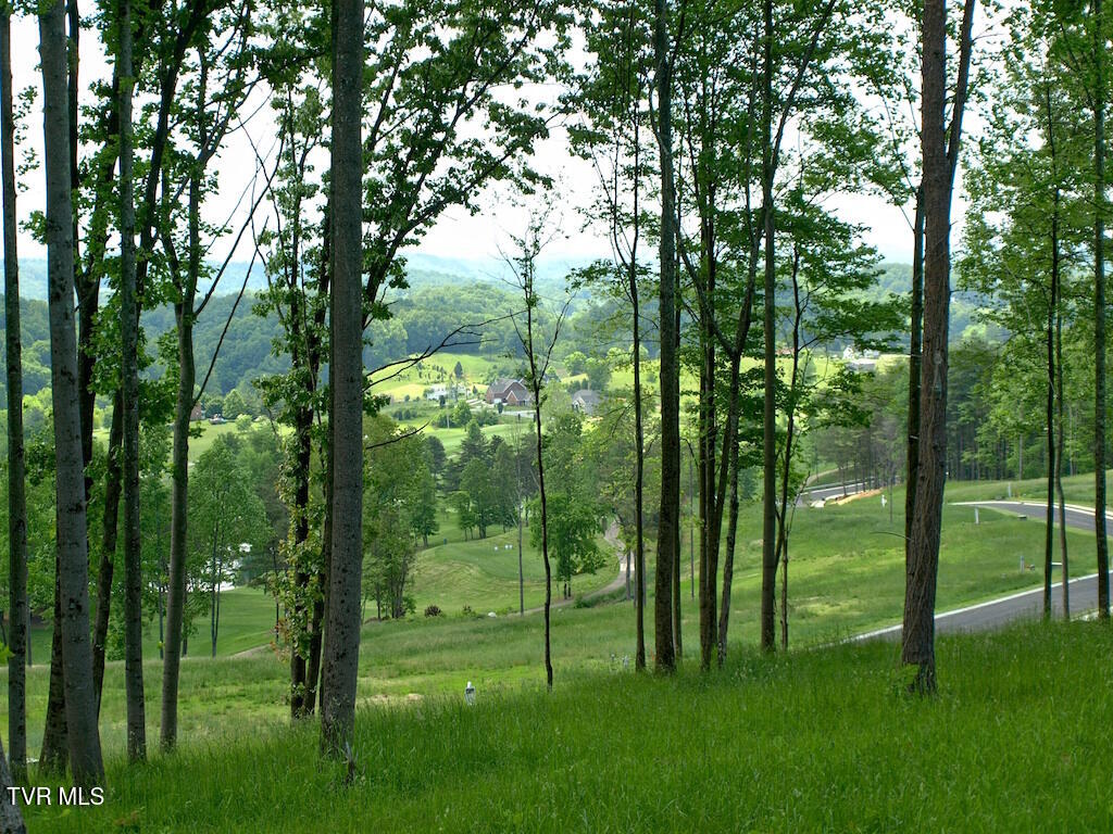 1226 Ridgetop Trail