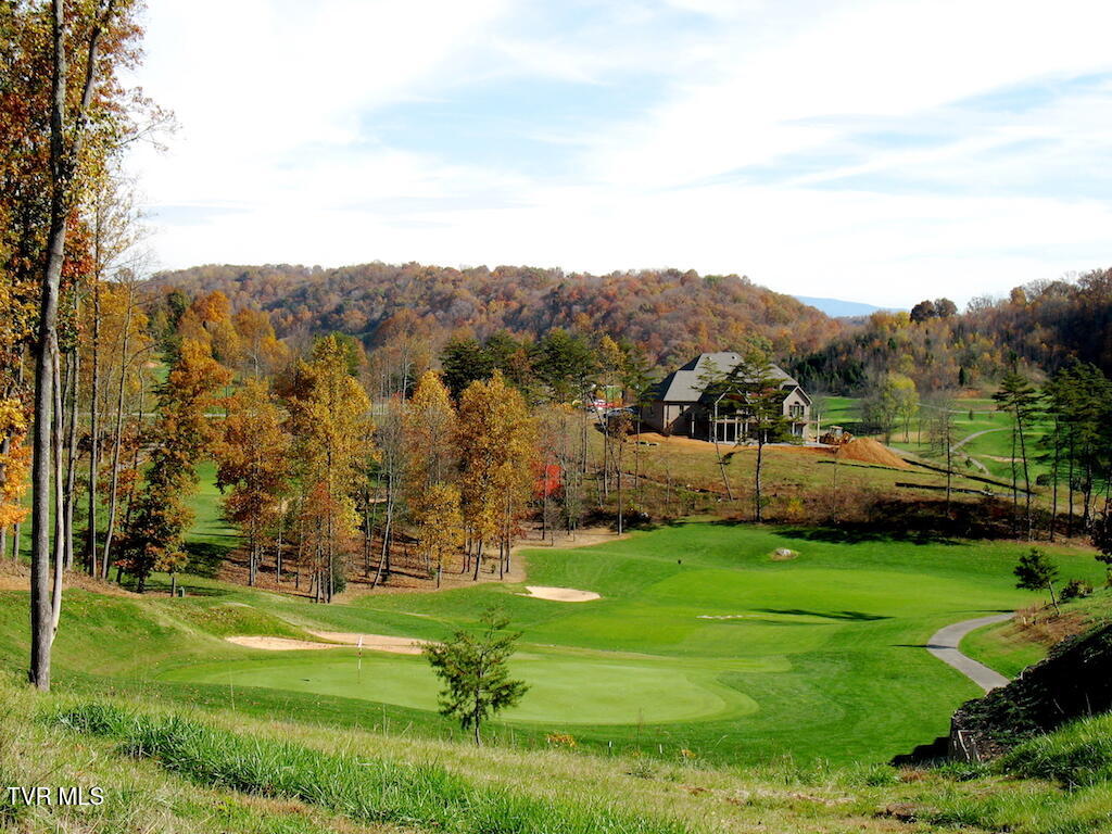 1226 Ridgetop Trail