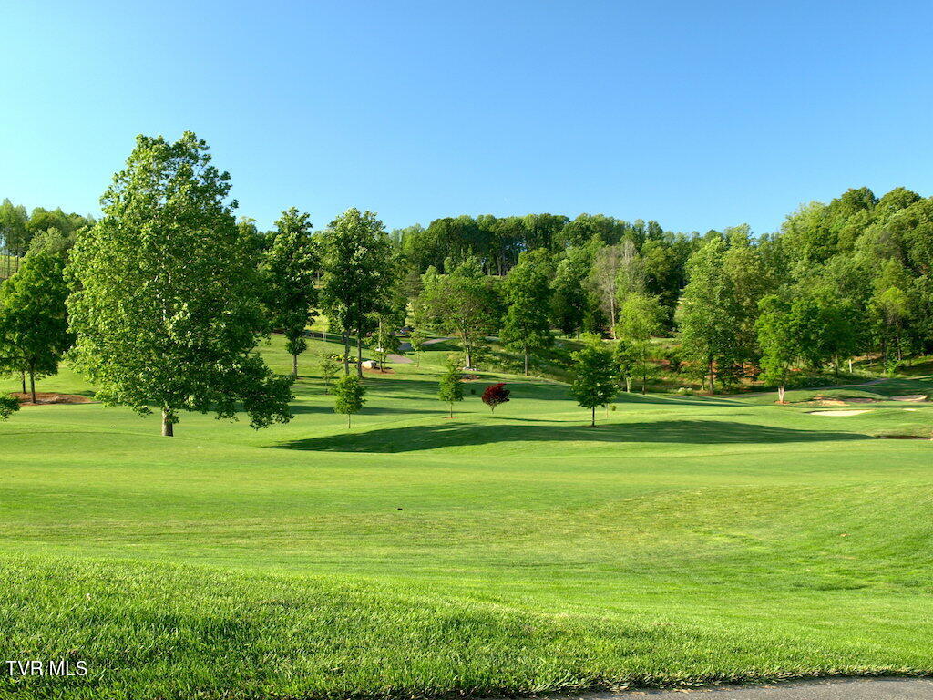 1226 Ridgetop Trail