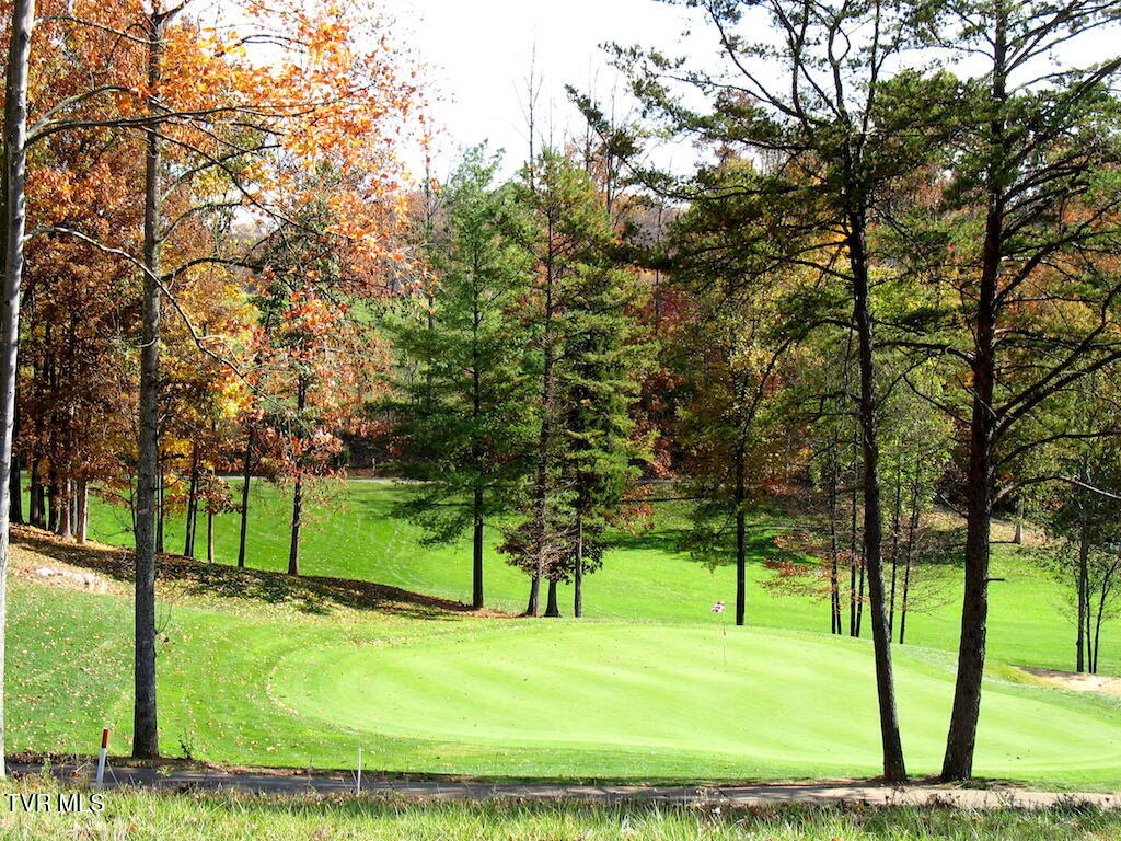1226 Ridgetop Trail