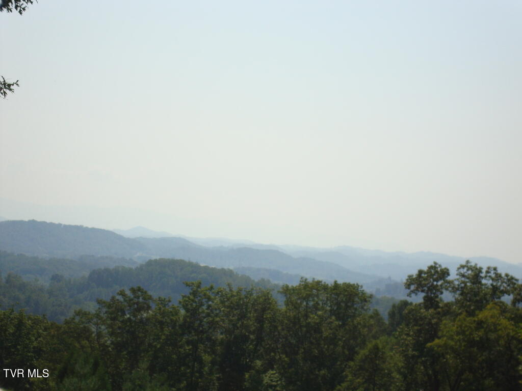 1226 Ridgetop Trail