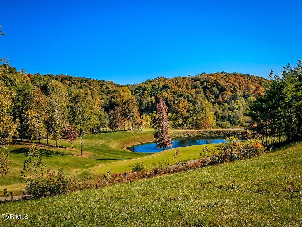 1226 Ridgetop Trail