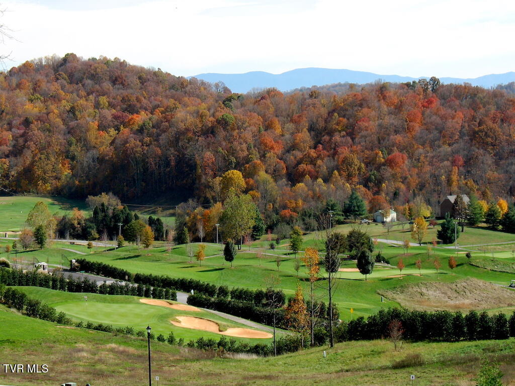 1226 Ridgetop Trail