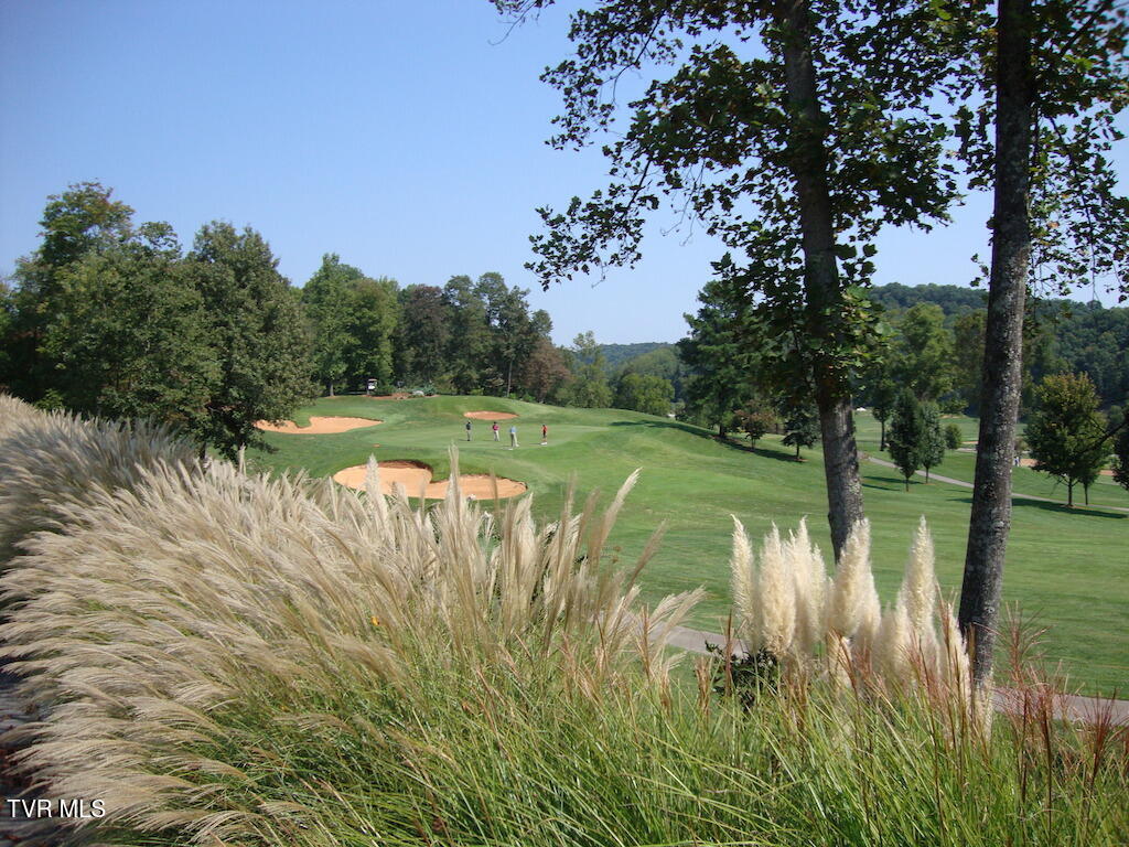 1226 Ridgetop Trail