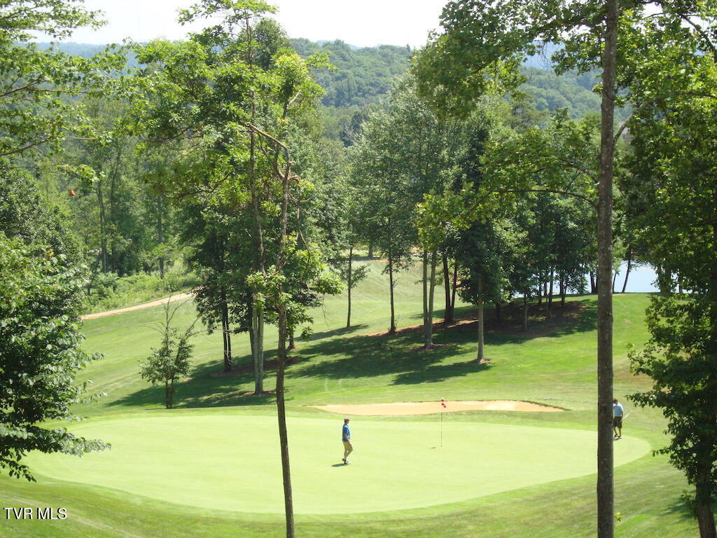1226 Ridgetop Trail