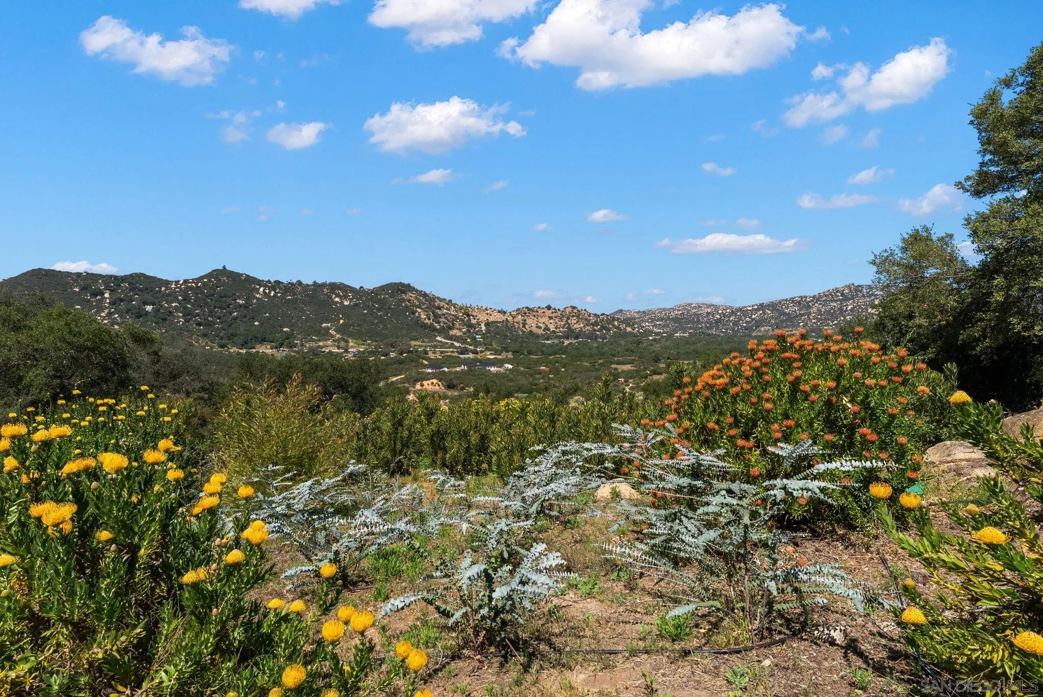 7051 Mount Olympus Drive