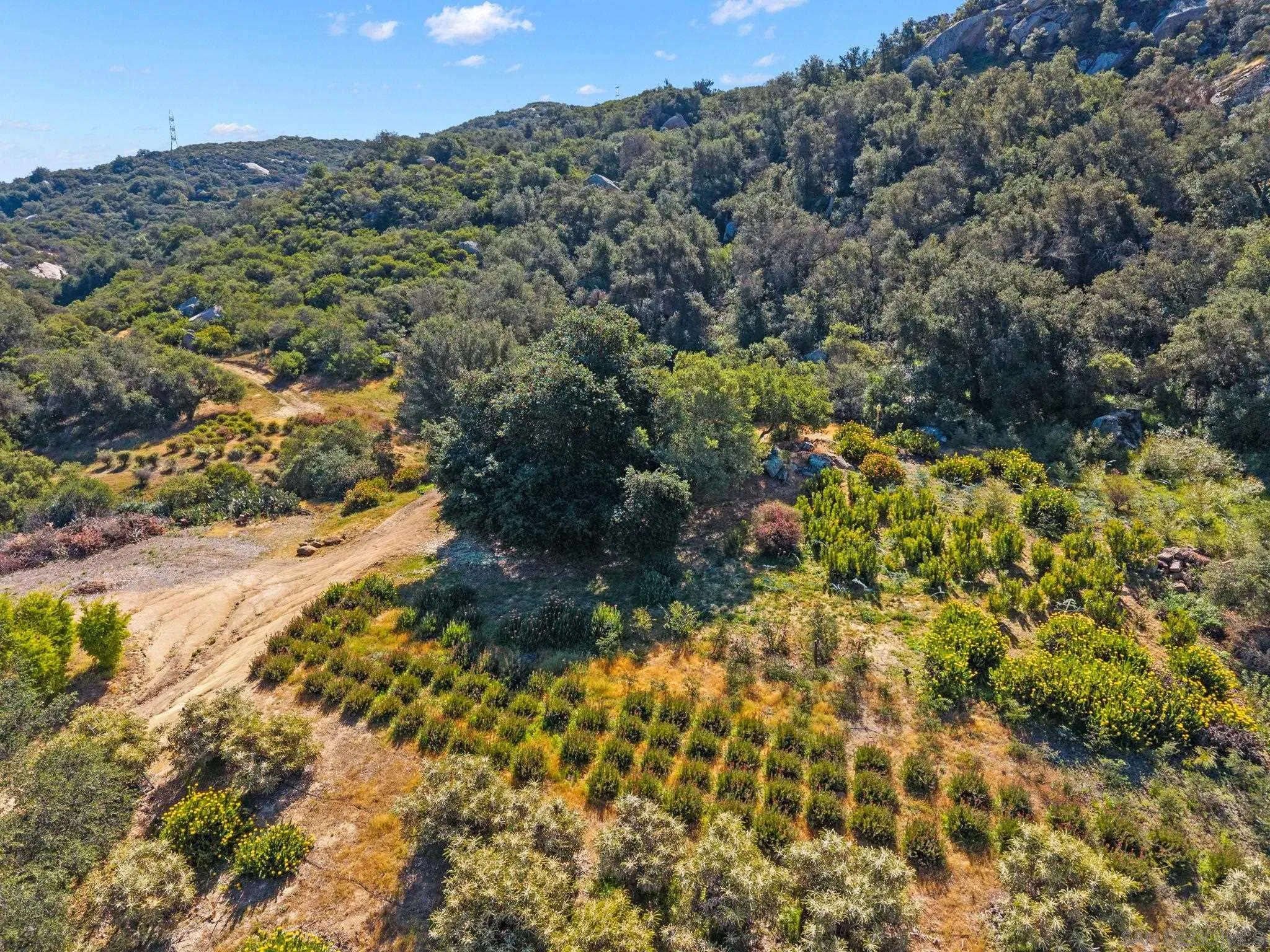 7051 Mount Olympus Drive