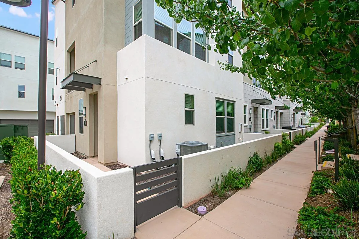16755 Coyote Bush 89