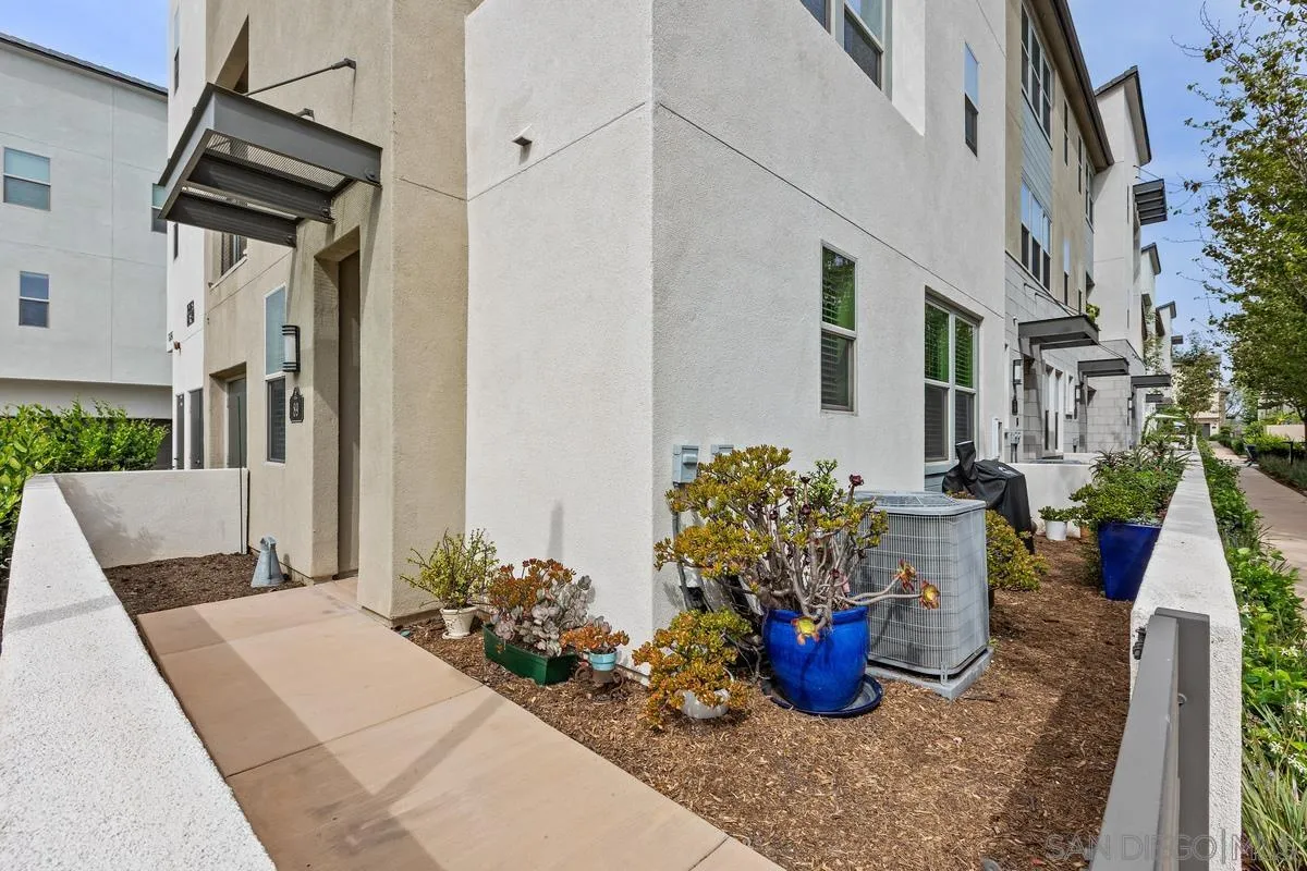 16755 Coyote Bush 89