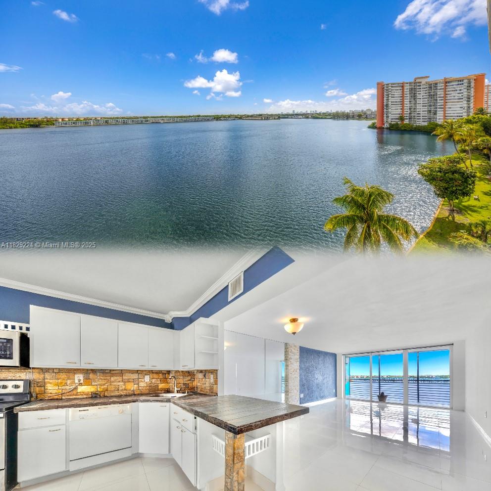 1175 NE MIAMI GARDENS DR Unit: 703