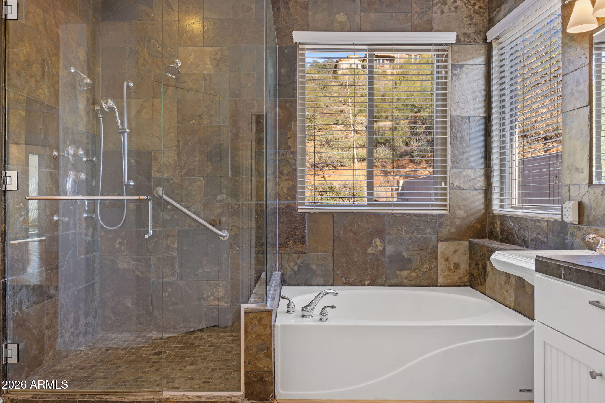 9839 N DESERT ROSE Drive