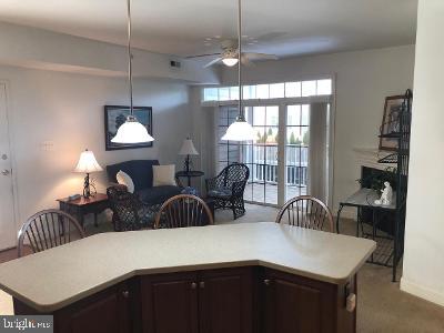 411 Megan Ct #E