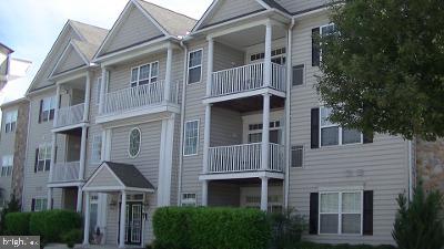 411 Megan Ct #E