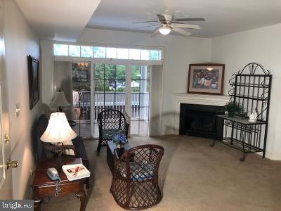411 Megan Ct #E