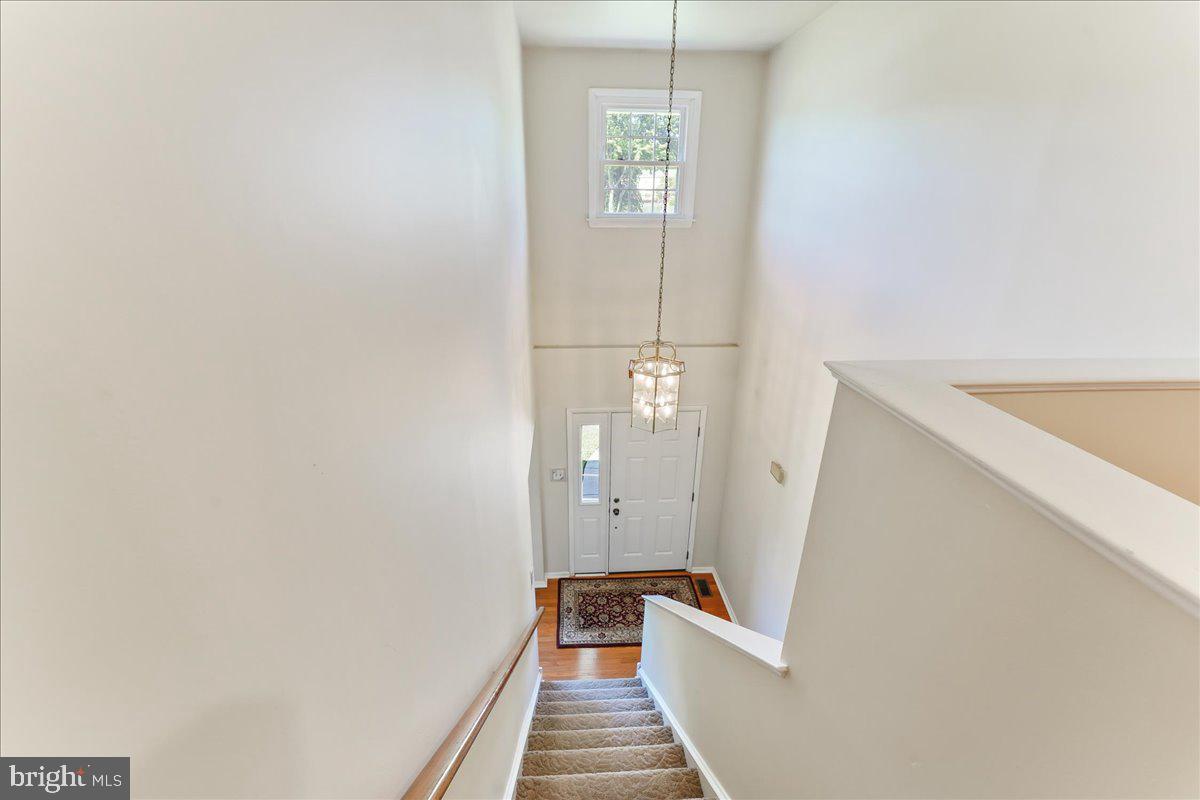 1217 Trafalgar Ln