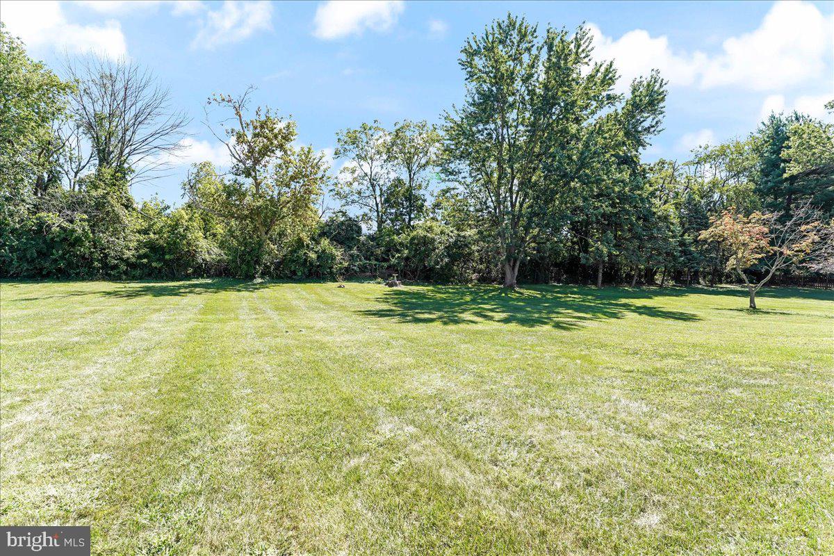 1217 Trafalgar Ln