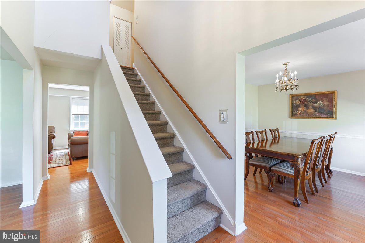 1217 Trafalgar Ln