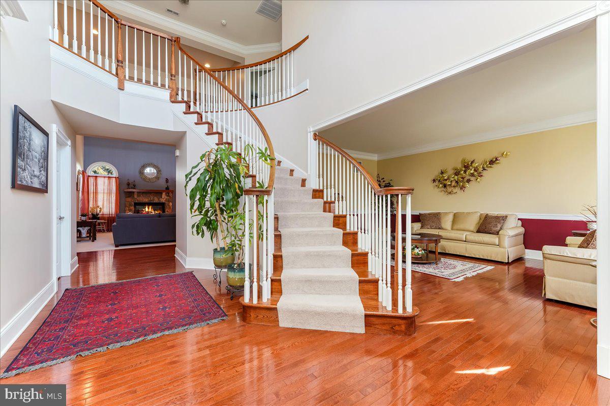 10 Magnolia Pl