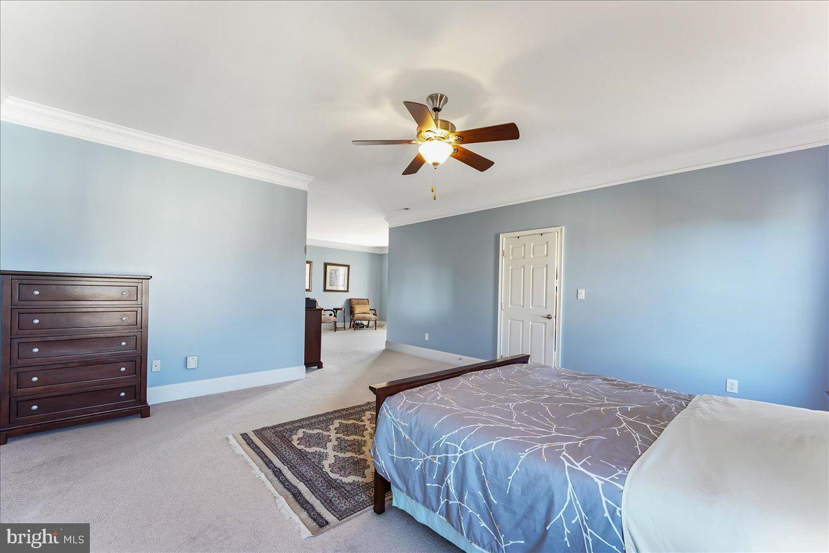 10 Magnolia Pl