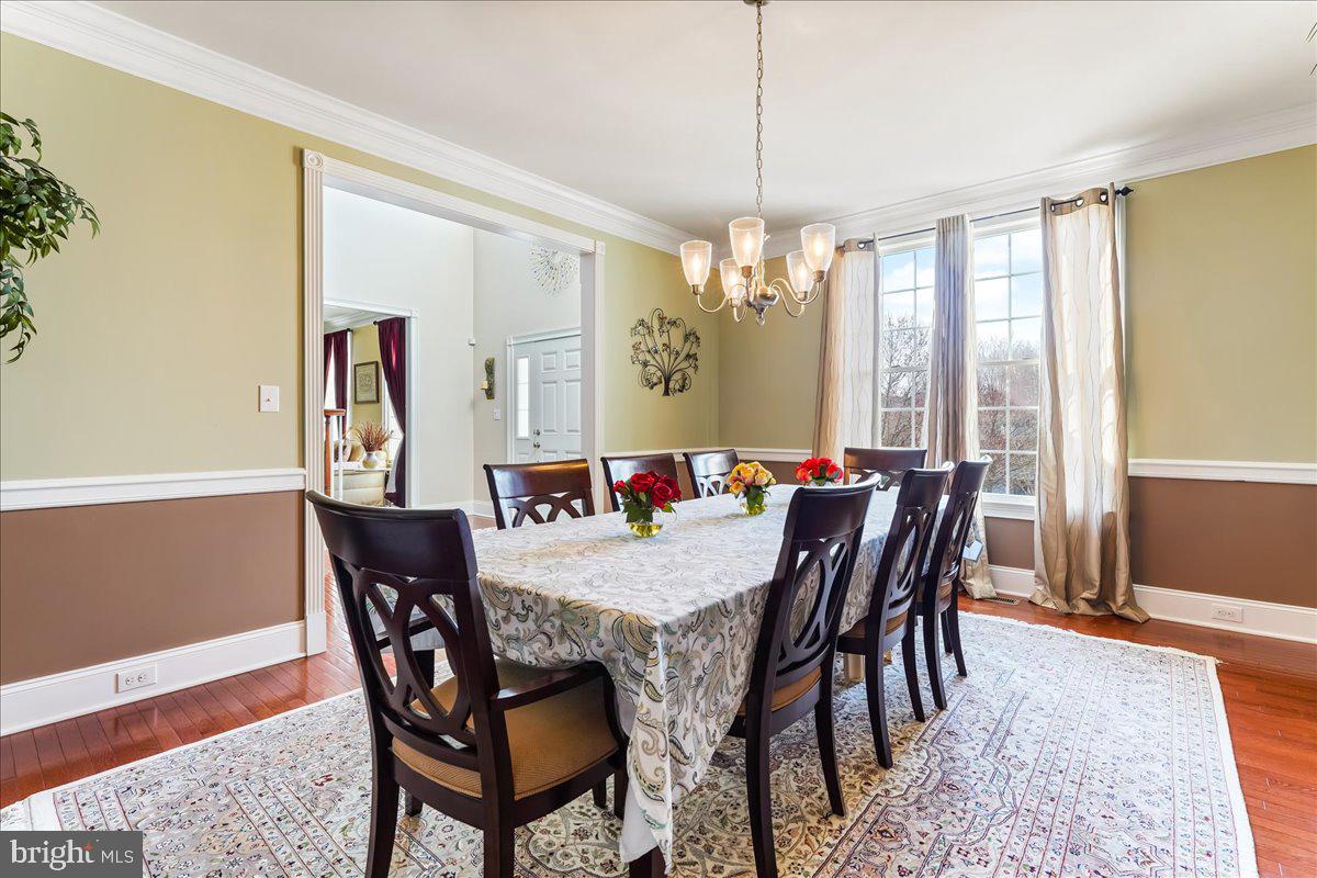 10 Magnolia Pl