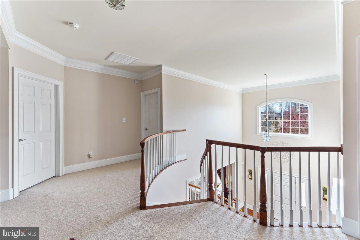 10 Magnolia Pl