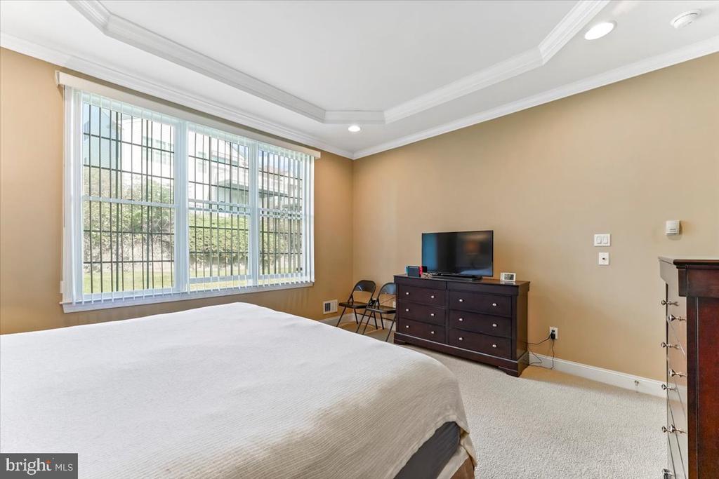 Bedroom with a large bed, wide windows with vertical blinds, and a tray ceiling.