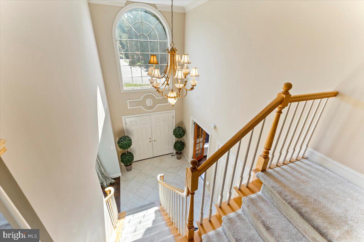 10 William Charles Dr