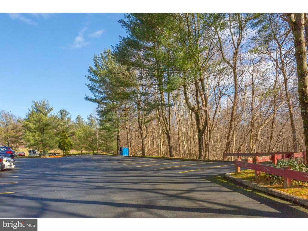 1290 Baltimore Pike #Rear 1