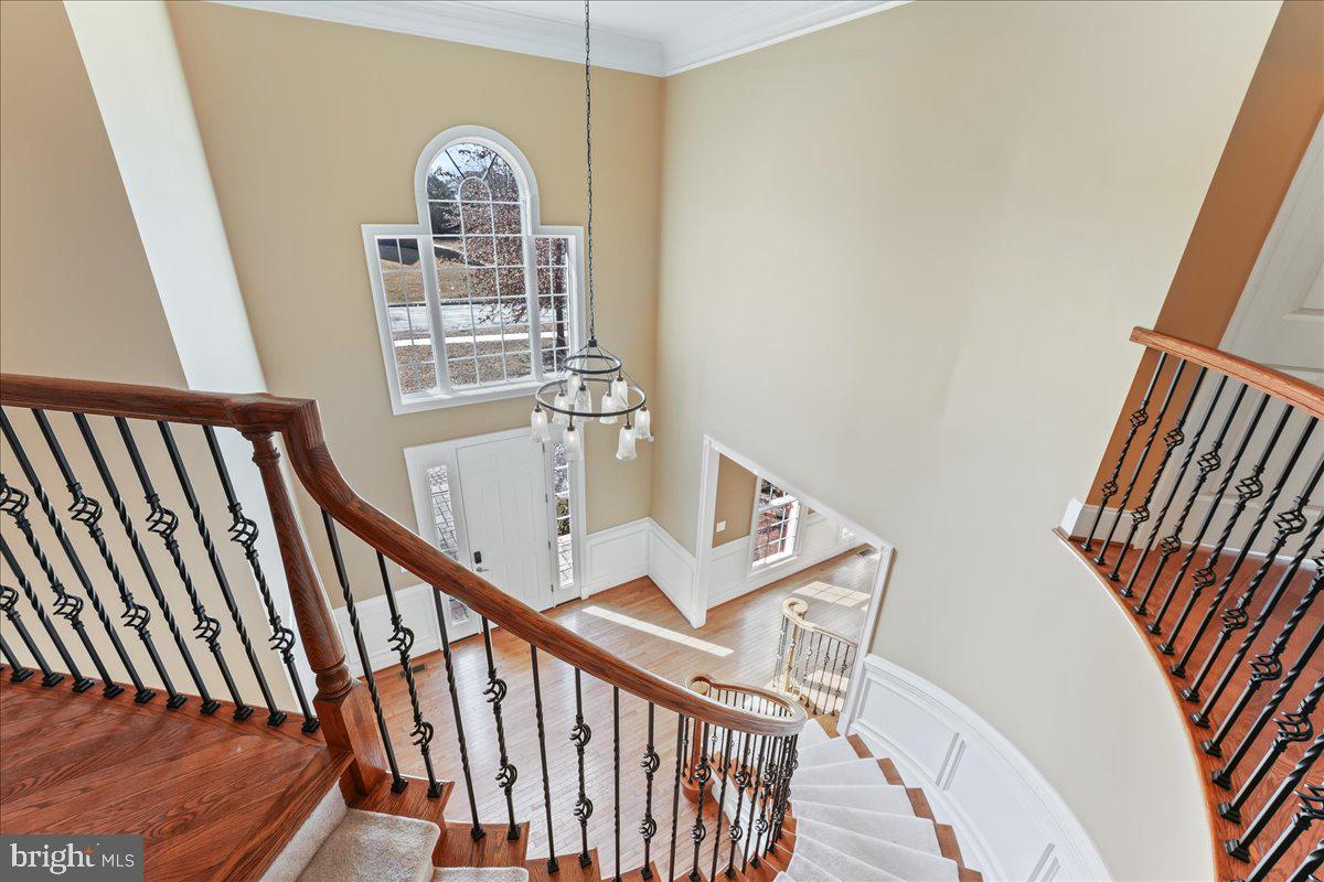 8 Poplar Road