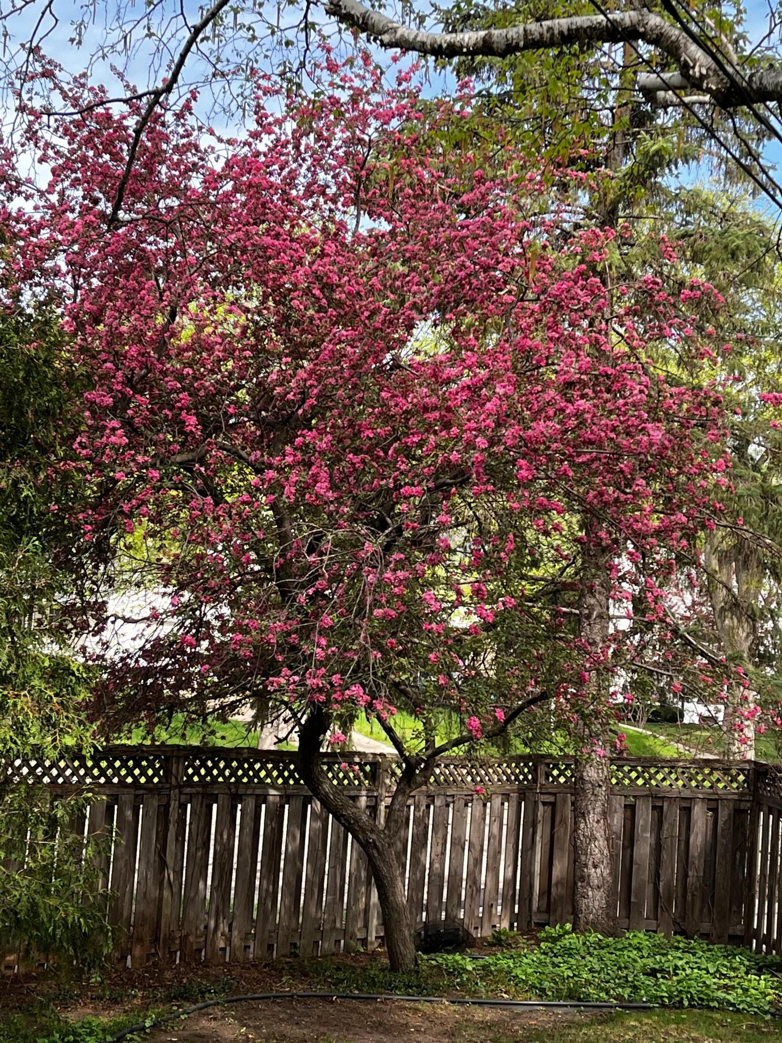 2844 Sunset Boulevard