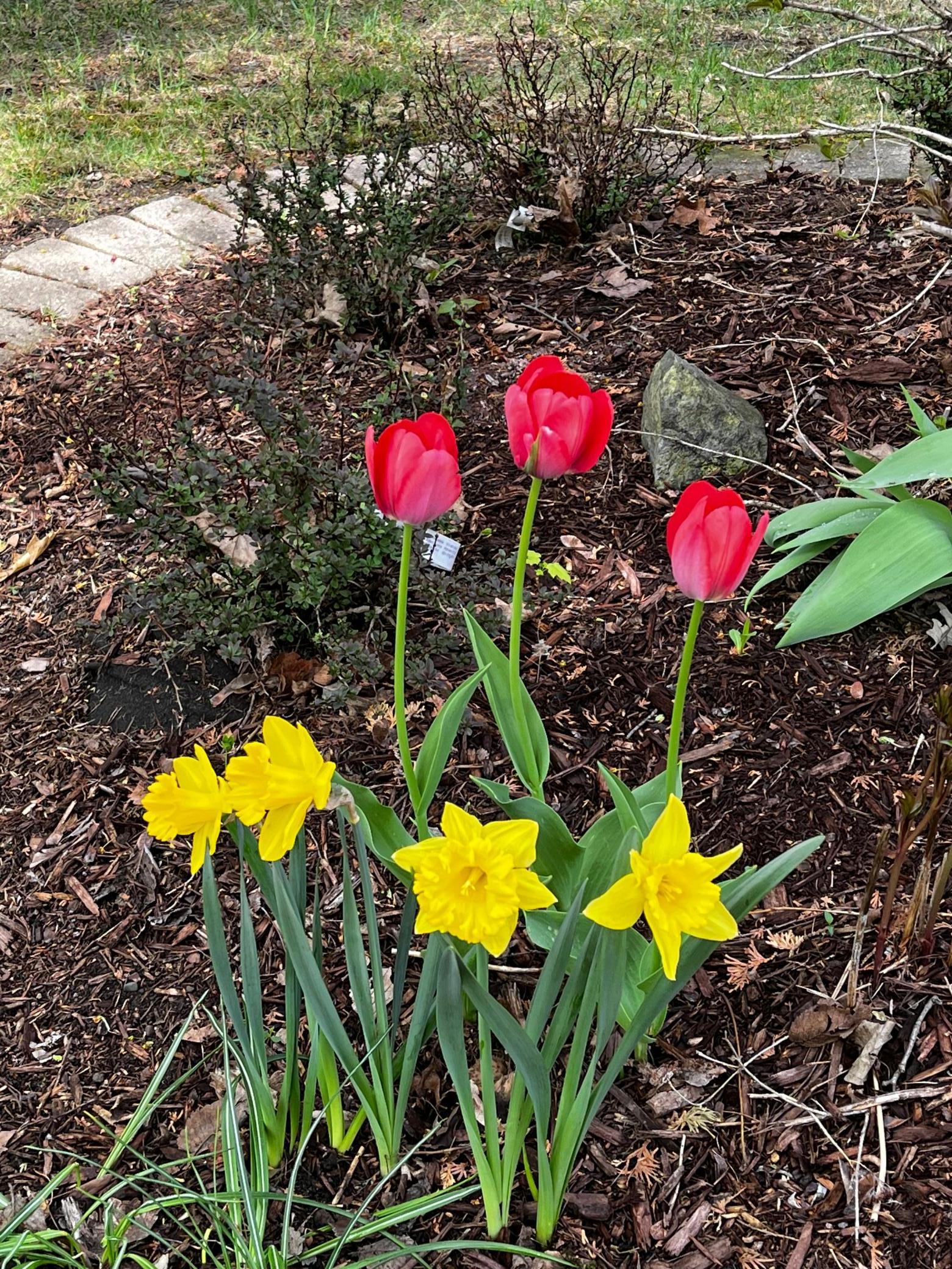 2844 Sunset Boulevard