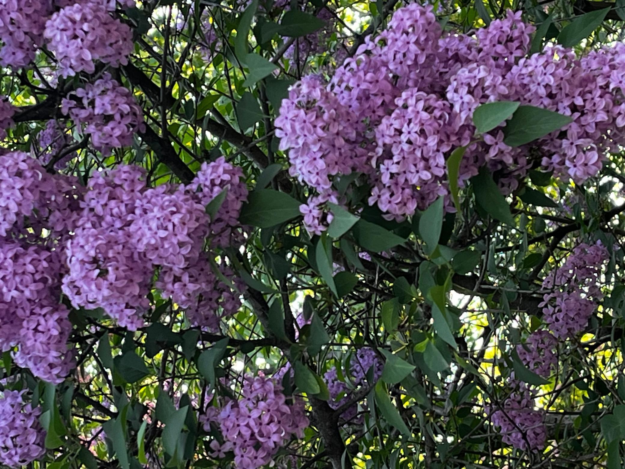 2844 Sunset Boulevard