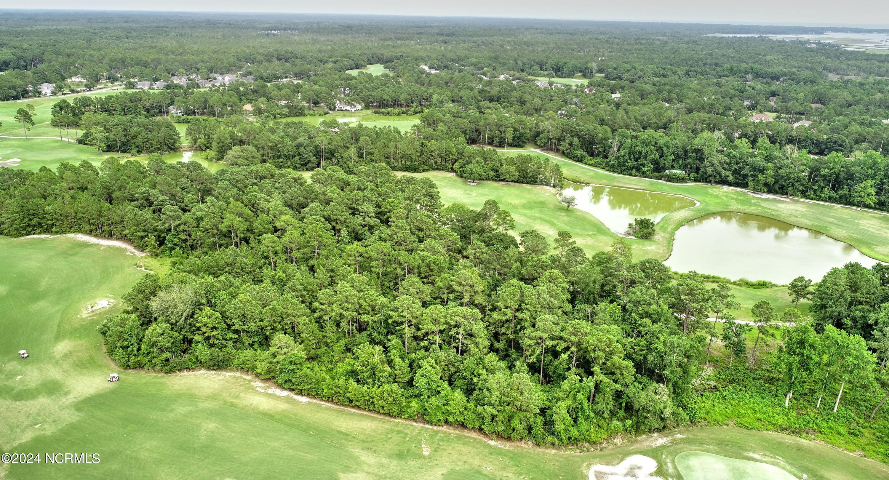 114 Plantation Passage Drive SE