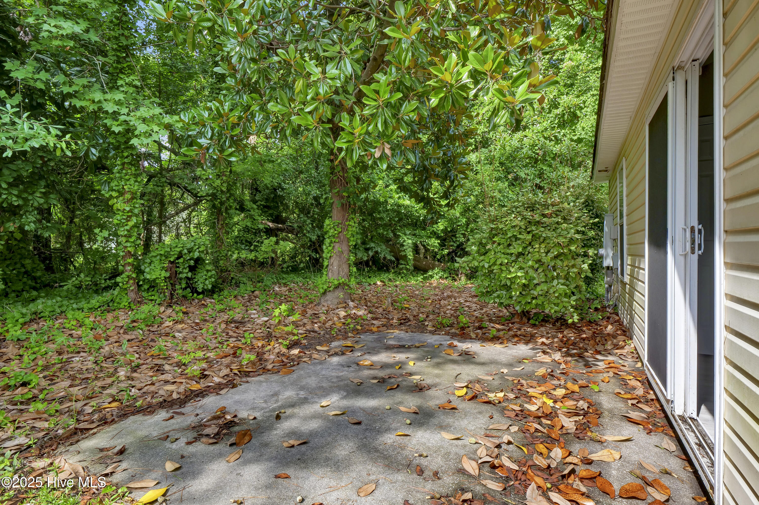 620 Tabor Lane