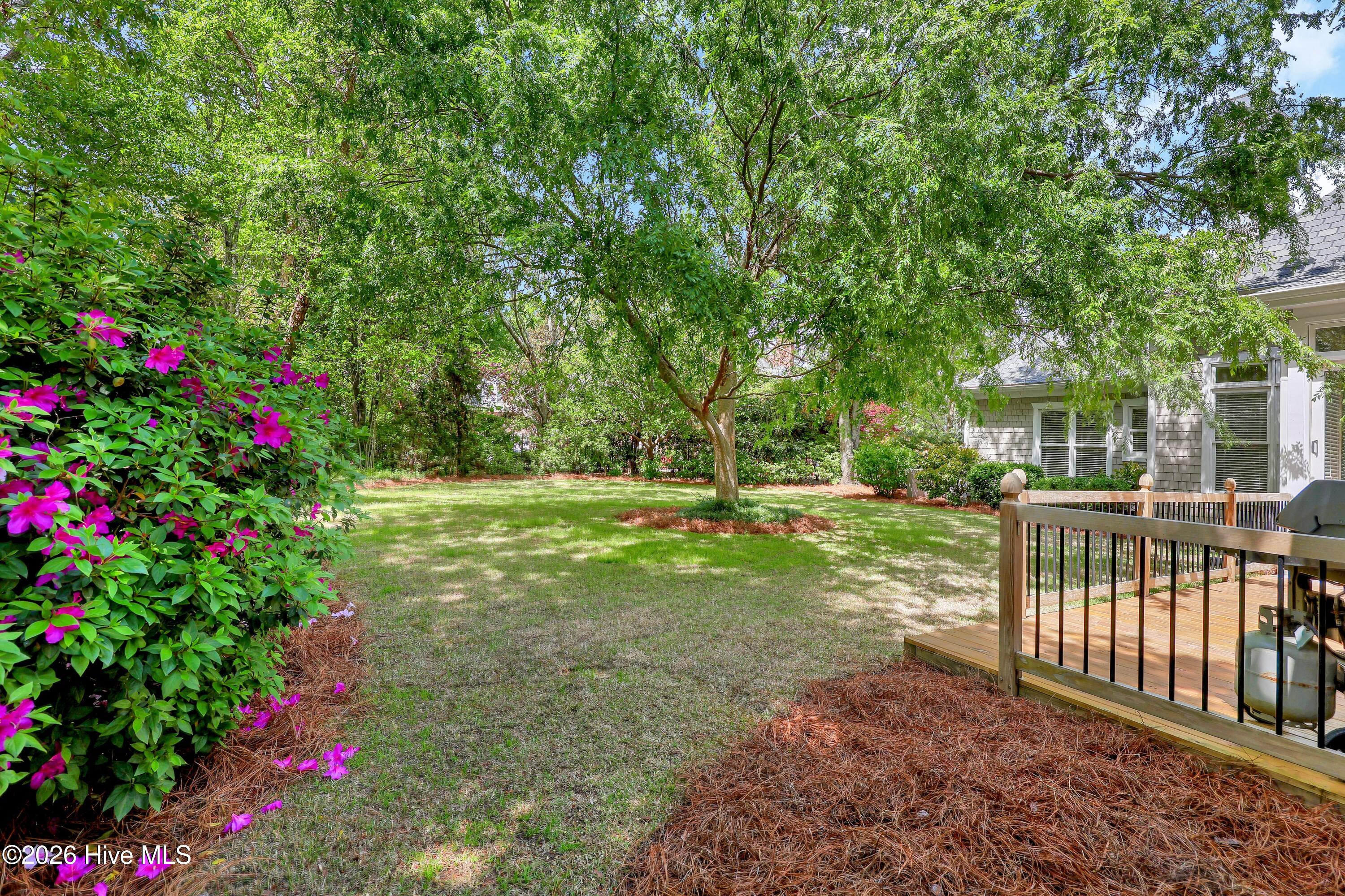 804 Oak Creek Place