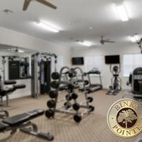 141 Sword Fern Place