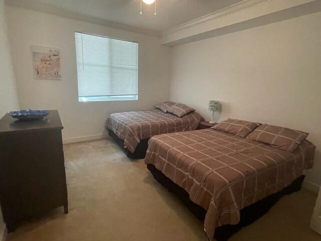 1204 Renaissance Way