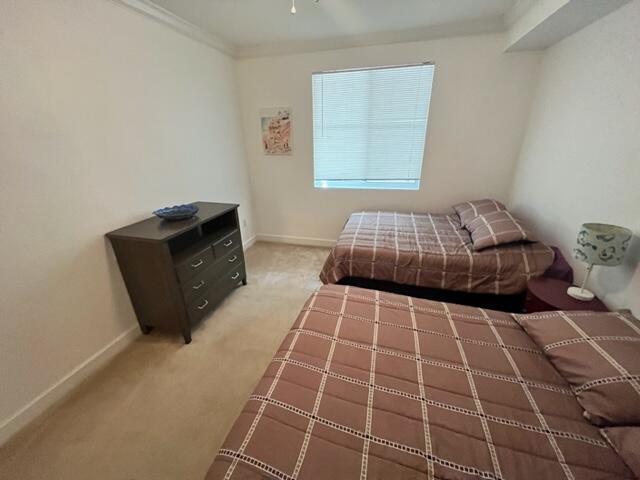 1204 Renaissance Way