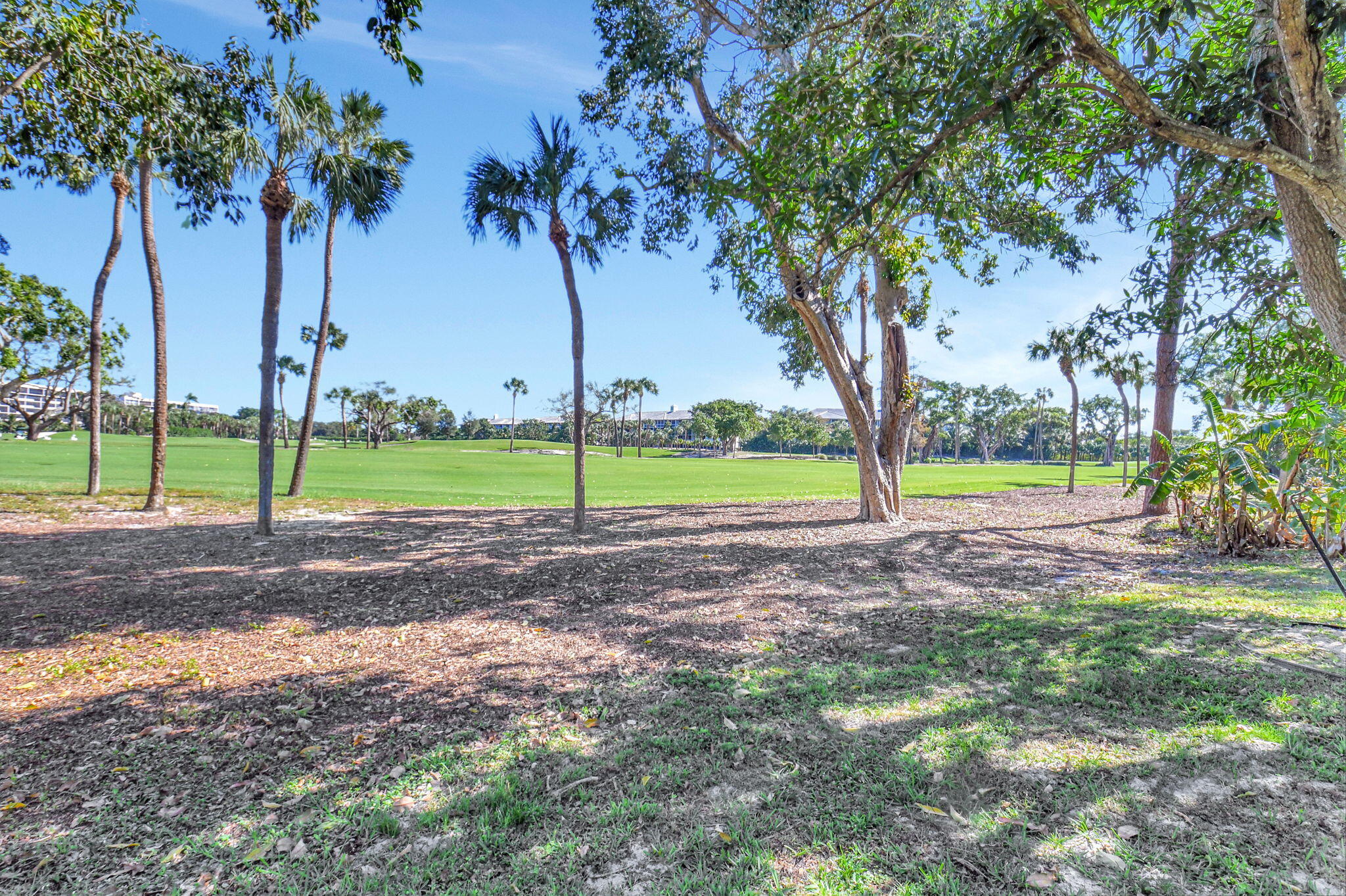 6553 Timber Lane