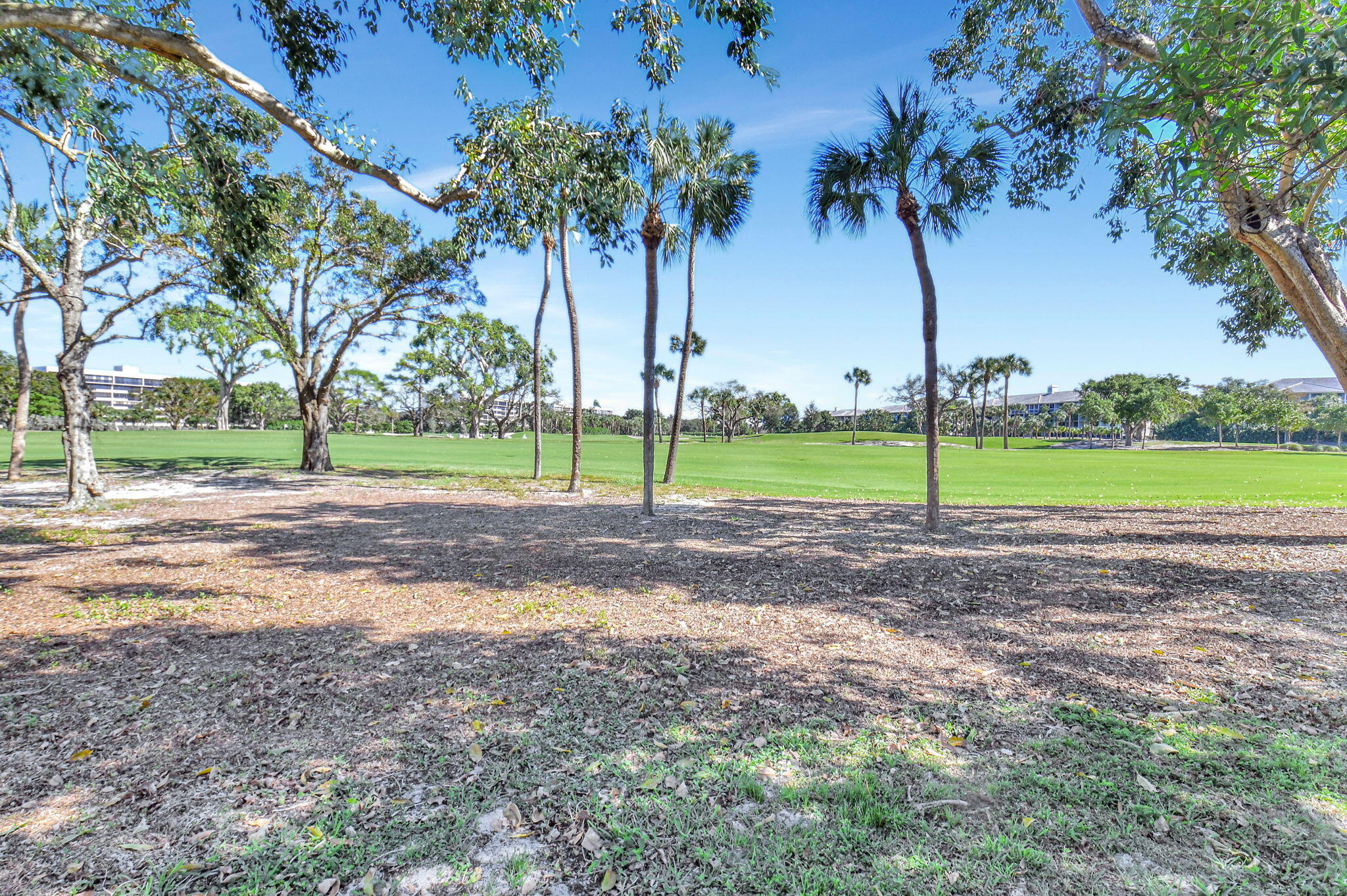6553 Timber Lane