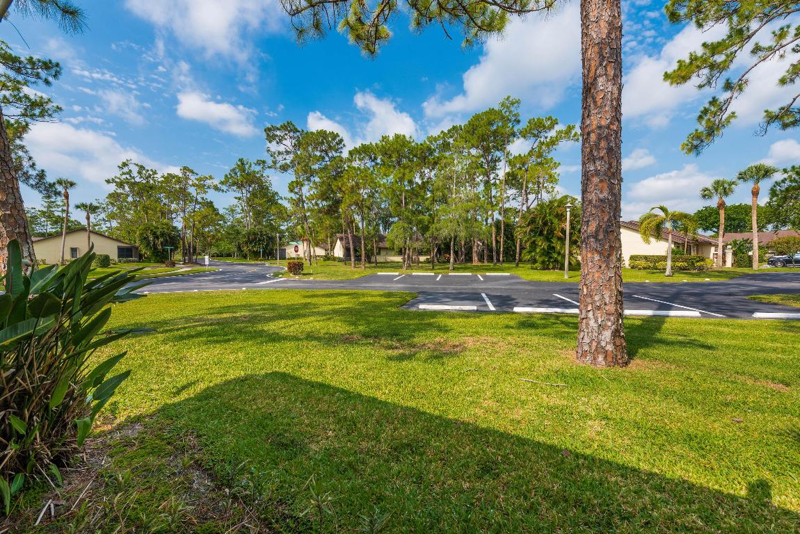 151 Pinto Palm Court