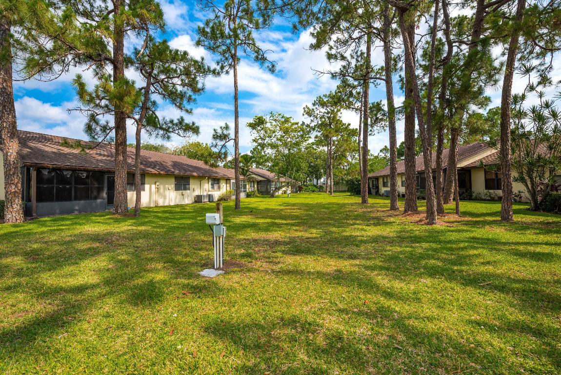 151 Pinto Palm Court