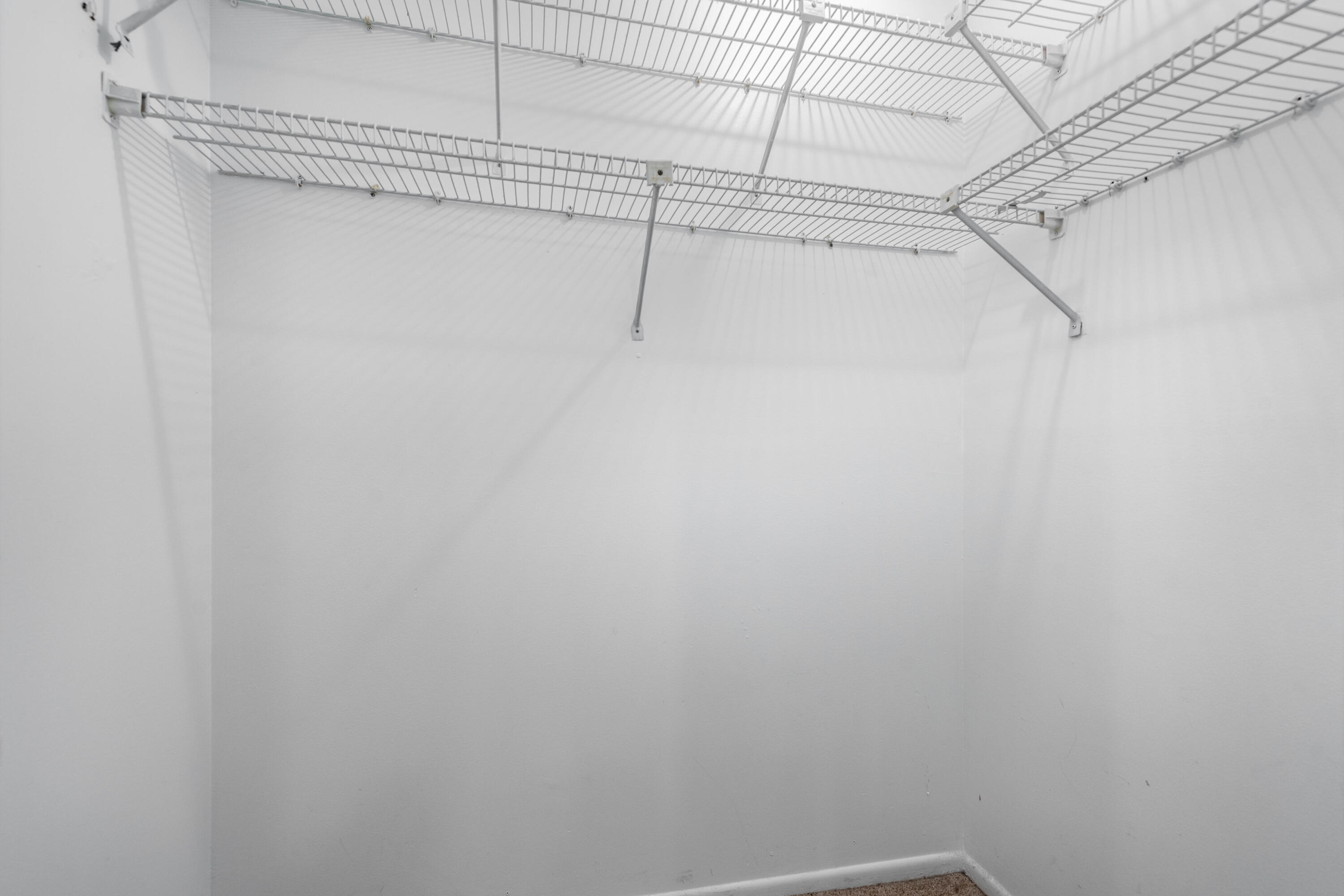 151 Pinto Palm Court