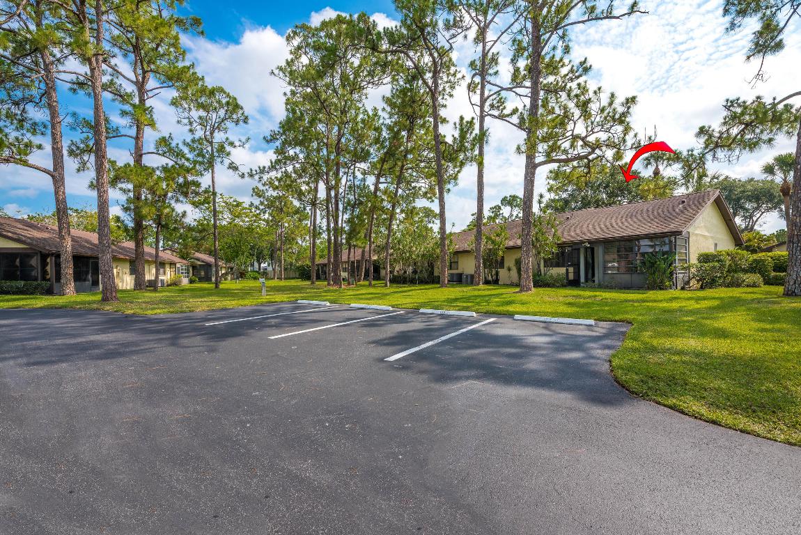 151 Pinto Palm Court