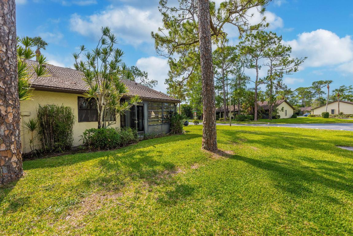 151 Pinto Palm Court